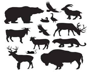 farm animals collection vector