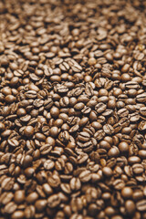 Vertical Close-Up View of Roasted Coffee Beans