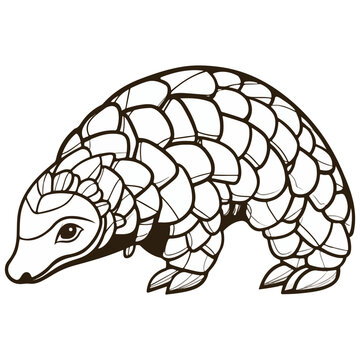 pangolin, animal, vector, transparent background, nature, wild, wildlife, pattern, mammal, scales, isolated, biology, Manidae
