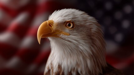 Fototapeta premium Bald eagle in front of United States flag showcasing national pride and wildlife beauty