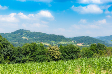Summer landscape with mountains and fields in western Serbia