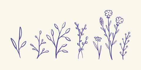 Elegant Botanical Line Art Elements Featuring Leaves and Stems in a Natural Style. Vector art illustration isolated transparent background