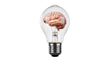 Transparent bulb containing a brain, glowing softly.