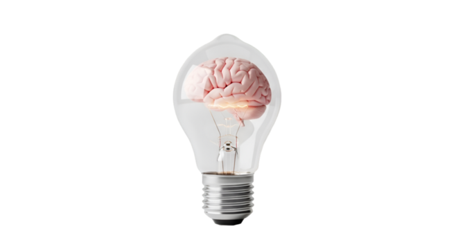 bulb containing a brain, glowing softly.