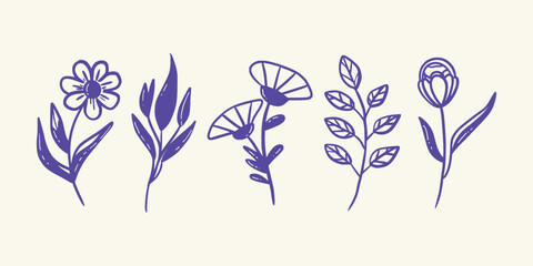 Textured Top View Flower Head Sketches in Hand-Drawn Crayon Style. Vector art illustration isolated transparent background