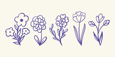 Modern hand-drawn flowers with thin elegant stems and buds Vector art illustration isolated transparent background