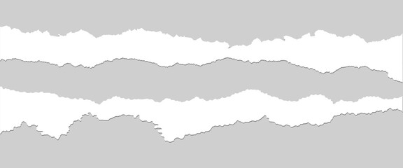 Collection of torn, ripped pieces of white color paper. Ripped paper strips