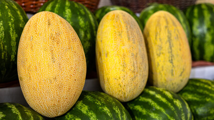 A vibrant assortment of Fresh Melons and Watermelons is beautifully displayed at the local Market today