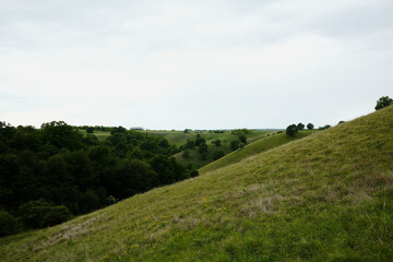 Grassy hill slope in Zagajicka Brda under soft light, with layers of hills fading into the distance...