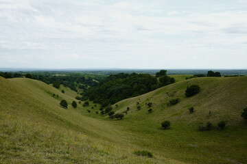 Grassy hill slope in Zagajicka Brda under soft light, with layers of hills fading into the distance...