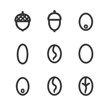 Acorn Anatomy Icons. Outline icon set of acorn anatomy: cap, nut, micropyle, cotyledon, embryo, seed coat, hilum, radicle, plumule