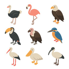 Birdwatching Safari Icons. Isometric Flat icon set of birdwatching safari: ostrich, flamingo, eagle, hornbill, vulture, kingfisher