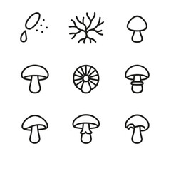 Mushroom Lifecycle Icons. Outline icon set of mushrooms lifecycle: spore, mycelium network, primordium, fruiting body, gill