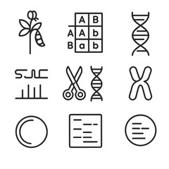 Genetics Icon Set. Outline icon set of genetics and molecular biology: Mendel pea plant, Punnett square, DNA helix, gene sequence,