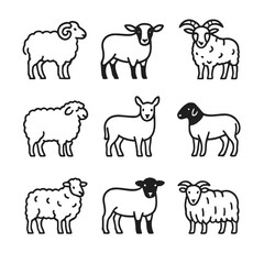 Sheep Breed Icon Set. Outline icon set of sheep breed variety: Merino sheep, Suffolk sheep, Jacob sheep, Romney sheep, Cheviot