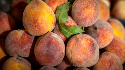 Freshly picked ripe peaches that come in bright and vibrant colors perfect for summertime enjoyment and desserts
