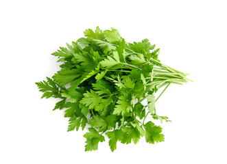 Fresh green parsley bunch on white background.