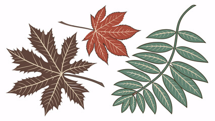 Autumn Fall Leaves Collection Set. Isolated Vector Illustration. Nature Design Elements.