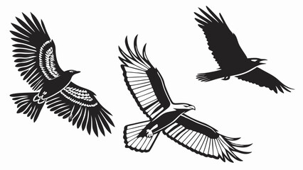 Obraz premium Flying birds illustration silhouette black and white eagle crow raven group of three