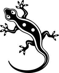 lizard on a white background
