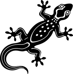 lizard on a white background