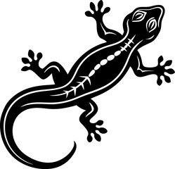 lizard on white background