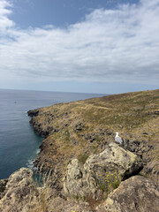 Picturesque view of the rocky coastline of Ponta de Sao Lourenco Madeira Island, rocks, and ocean. Travel theme