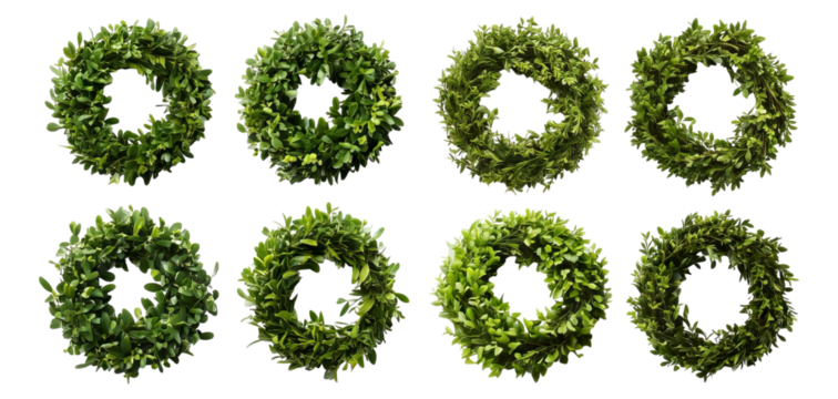 Collection of Green Leafy Wreaths for Seasonal Decor and Crafts, Isolated on Transparent, white background