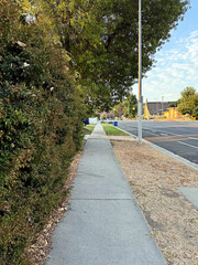 road alongside a park with hedges - sidewalk next to an empty city street - Encino, Los Angeles, California, USA