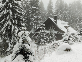 Beautiful snowy winter forest and snow-covered cozy house in Zakopane, Tatras, Poland