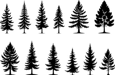 Obraz premium mountain pine tree forest vector bundle
