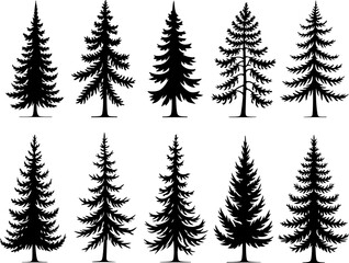 Obraz premium mountain pine tree forest vector bundle