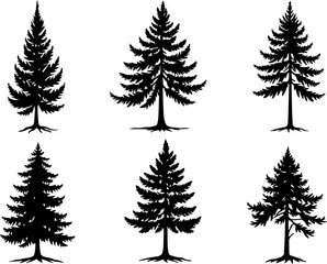 Obraz premium mountain pine tree forest vector bundle