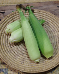 トウモロコシ、収穫のイメージ、夏野菜、白いトウモロコシの写真