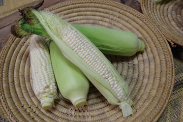 トウモロコシ、収穫のイメージ、夏野菜、白いトウモロコシの写真