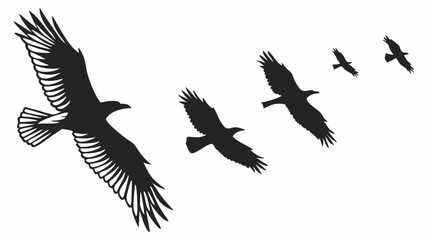 Obraz premium Flying birds silhouette flock group in the sky nature wildlife freedom journey migration concept abstract background copy space