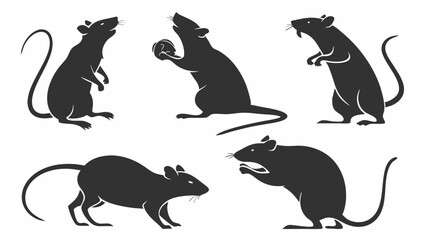 Fototapeta premium Set of black rat silhouettes standing sitting eating different poses isolated white rodent pest animal vector