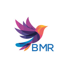 BMR Colorful Abstract Bird Logo Design – BMR Later Logo, Modern Geometric Flying Bird with BMR Text on White Background.
