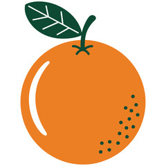 vector illustration of orange fruit