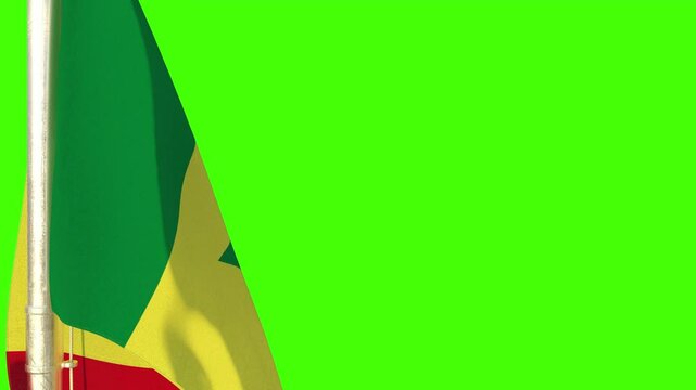 hanging Senegal flag waving on green screen, isolated