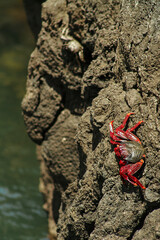 Madeira landscapes, desktop wallpaper, phone screensaver, 
