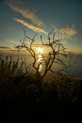 Madeira landscapes, desktop wallpaper, phone screensaver, 