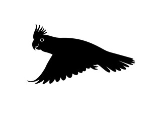  Cockatiel in silhouette on white background side views  full image.
