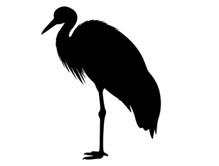 Crane silhouette on white background side views side view