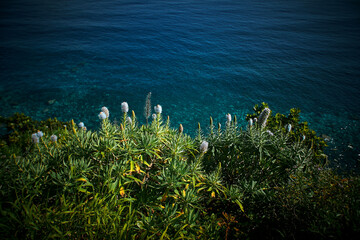 Madeira landscapes, desktop wallpaper, phone screensaver, 