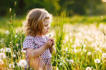 Adorable cute little baby girl blowing on a dandelion flower on the nature in the summer. Happy...