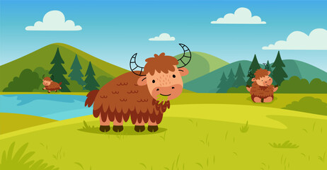 Yaks on nature. Funny yak eating grass, meditating and run near lake or pond. Animal on green meadow, mountain wild cartoon landscape, nowaday vector illustration