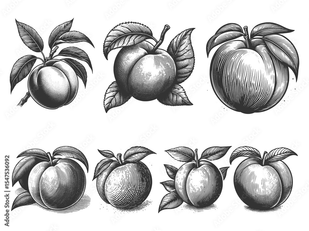 Poster peach set collection bundle sketch engraving generative ai raster illustration. scratch board imitat
