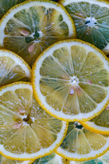 Lemon slices close-up macro on a uniform background