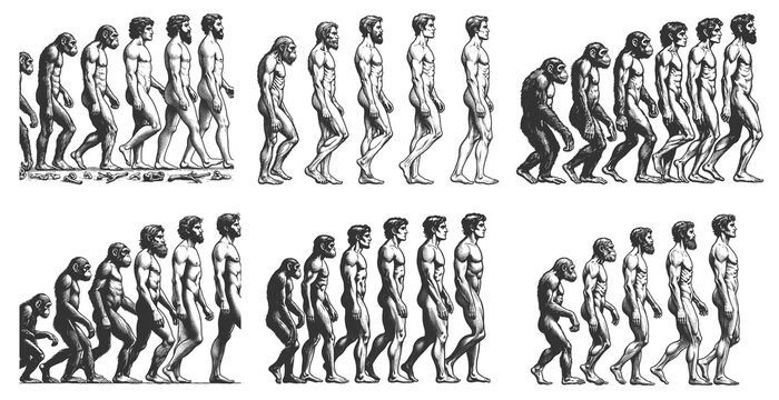 evolutionary sequences showing the progression from primates to modern humans Set collection bundle sketch engraving generative ai raster illustration. Scratch board imitation. Black and white image.